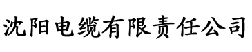 油条视频网站电缆厂logo